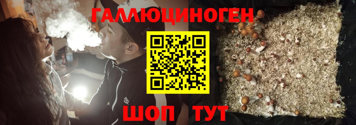 Псилоцибиновые грибы ЛСД  Вход с VPN  Вязники 