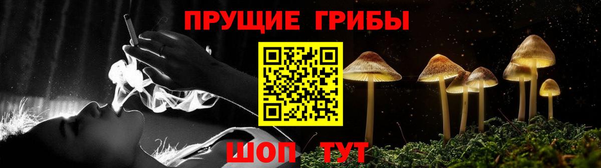 Псилоцибиновые грибы ЛСД Вязники